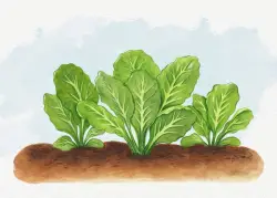 In my garden: Adapting taste to the changing climate