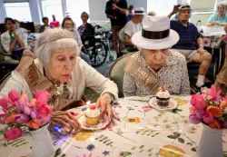 Centenarian Tea!